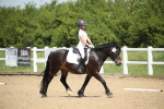 SBM_008738