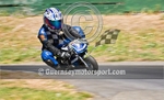 MiniMoto-99
