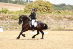 SBM_003634