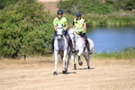 WJ6_8876