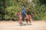 WJ6_7726
