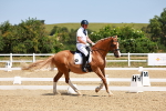SBM_010784