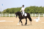 SBM_009038