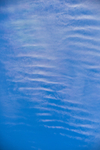 ACP_4736-1