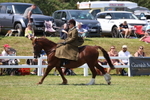 3E7A9729