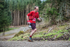 Glentress-2873