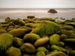 West End Beach, Trefor