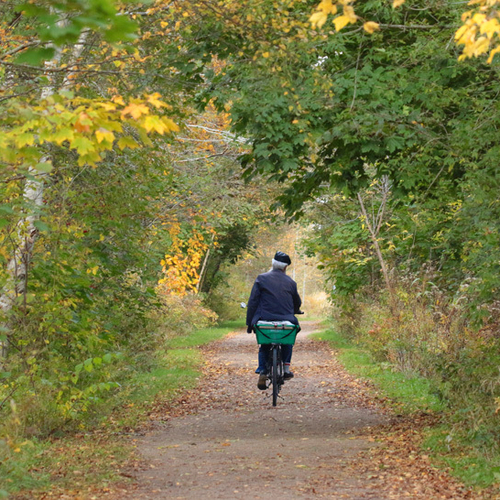 A cyclist passes through one of the many trails near Sackville Waterfowl Park - a part of the Tantramar Marsh Ecosystem.