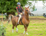 Dunblane show-37