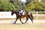 SBM_003916