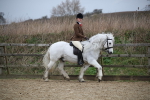 SBM_006049