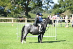 SBM_39564