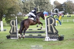 500-HARLYN.CONNOR-Kerryann.Dunstan-TrotUp+SJ portfolio