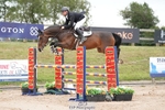 Cls 27 Chard Equestrian 5 Year Old Championship portfolio