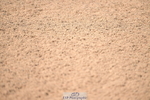 240629A-162457-07678