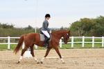 SBM_001331
