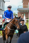 Race 2 2.23pm Marion Gibson Brown Memorial - Irish EBF Restricted Maiden Fillies' Stakes (Div II) portfolio