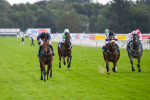 290723-Race 4-Blue Prince-0659