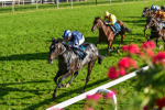 141023-Race 5-Certain Lad-1349