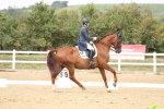 SBM_007536