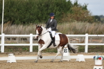 SBM_001015