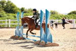 SBM_006931