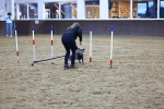 SBM_006003