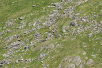 Duddon Long-3