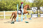 SBM_000802