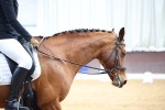 SBM_006948