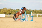 SBM_007938