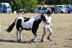 WJ6_8581