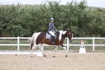 SBM_003001