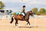 SBM_15492