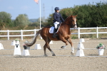 SBM_020223