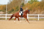 SBM_009328