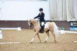 SBM_004293