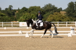 SBM_006501