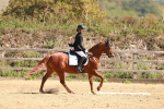 SBM_010667