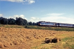 4th Aug 1991