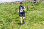 Settle Hills-961