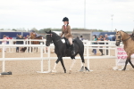 SBM_18151
