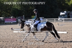 BPP_9185