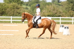 SBM_010194