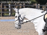 BPP_8418