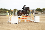 SBM_005568