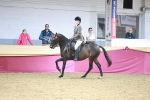 SBM_07229
