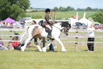 SBM_17112