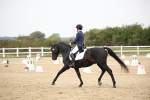 SBM_020285