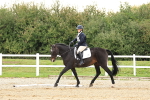 SBM_000180